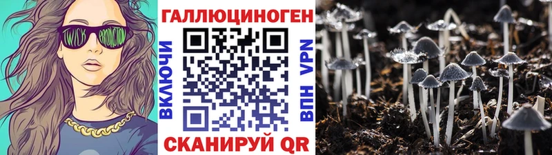 купить   Кумертау  Псилоцибиновые грибы Magic Shrooms 